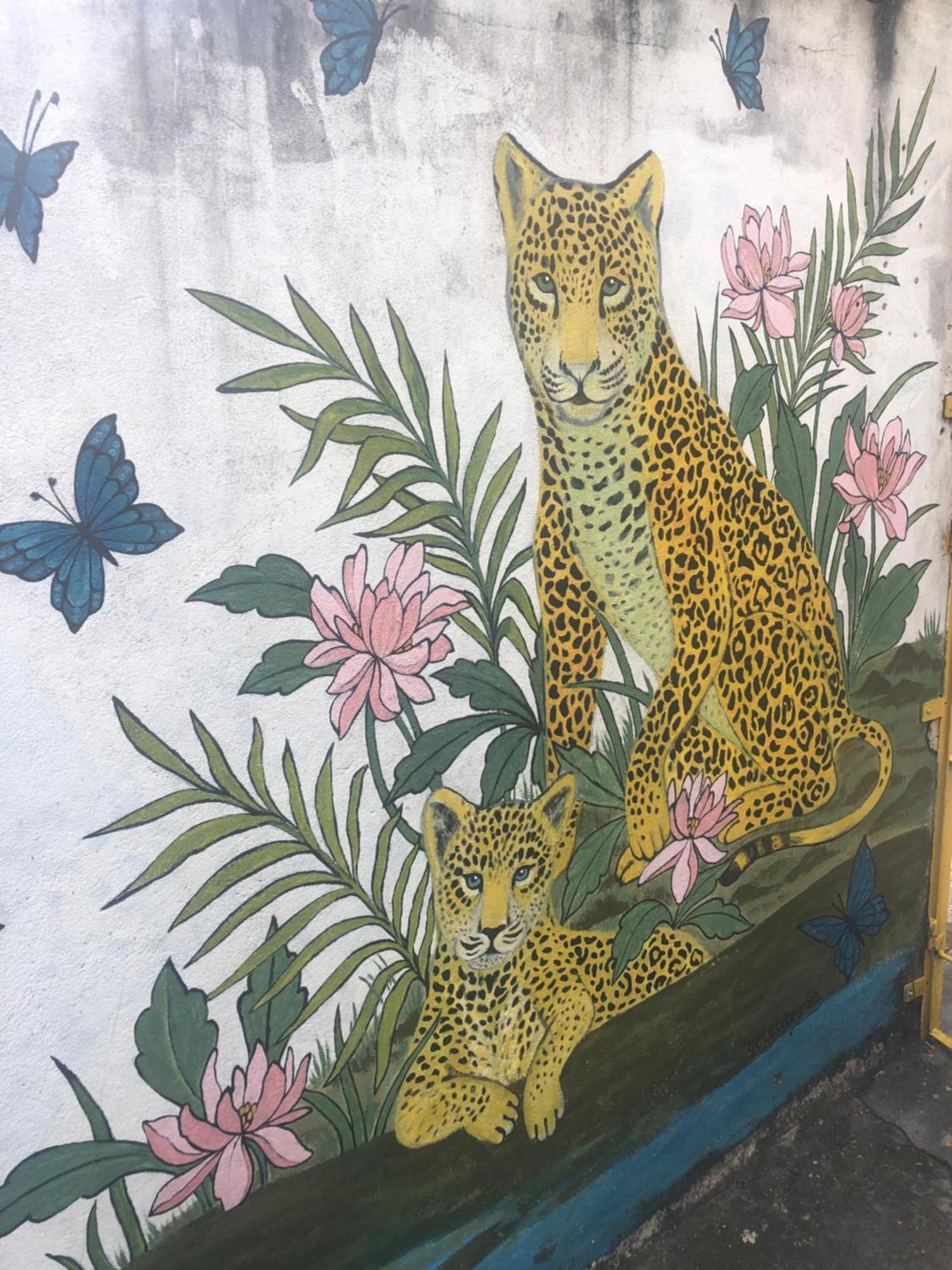 Onca Da Praia Hostel Vitória Dış mekan fotoğraf